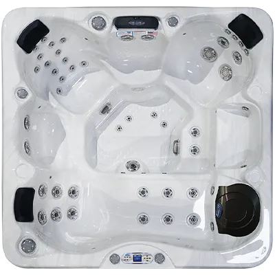 Avalon EC-849L hot tubs for sale in La Vale