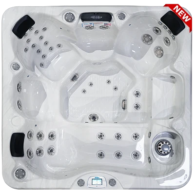 Avalon-X EC-849LX hot tubs for sale in La Vale