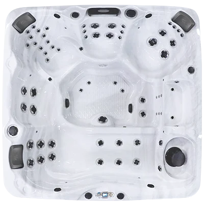 Avalon EC-867L hot tubs for sale in Lavale